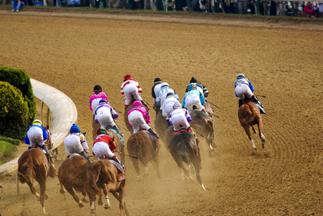 Run for the Roses: The Joy of the Kentucky Derby!