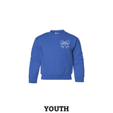Game Day Doodle Youth Crewneck