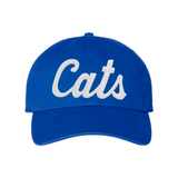 Cats 3D Embroidered Hat