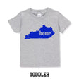 Toddler Grey Home in State Tee