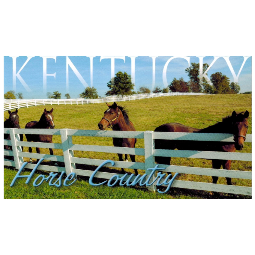 Kentucky Horse Country Postcard