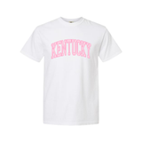 Pink Gingham Arch Comfort Colors T-Shirt