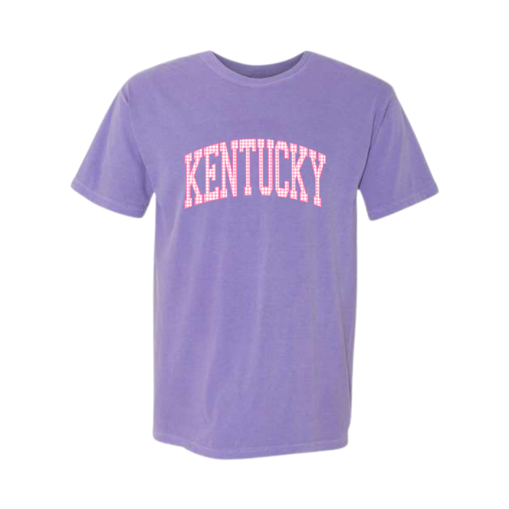 Pink Gingham Arch Comfort Colors T-Shirt