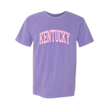 Pink Gingham Arch Comfort Colors T-Shirt