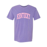 Pink Gingham Arch Comfort Colors T-Shirt