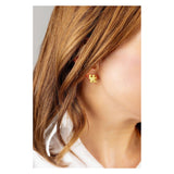 Kentucky Wildcats 24K Gold Plated Stud Earrings