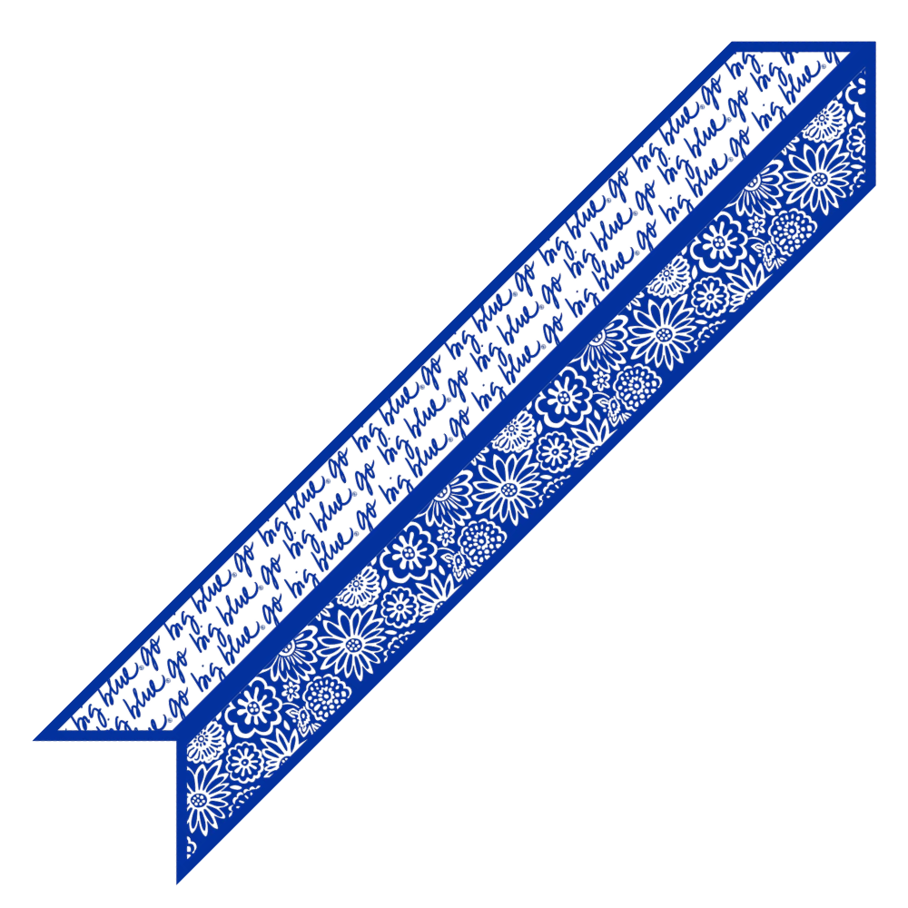 Kentucky Go Big Blue Skinny Scarf