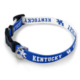 Kentucky Wildcats Pet Collar