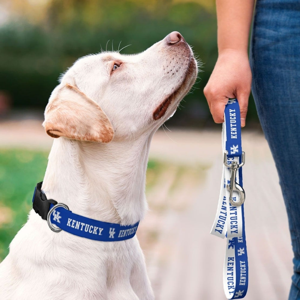 Kentucky Wildcats Pet Collar