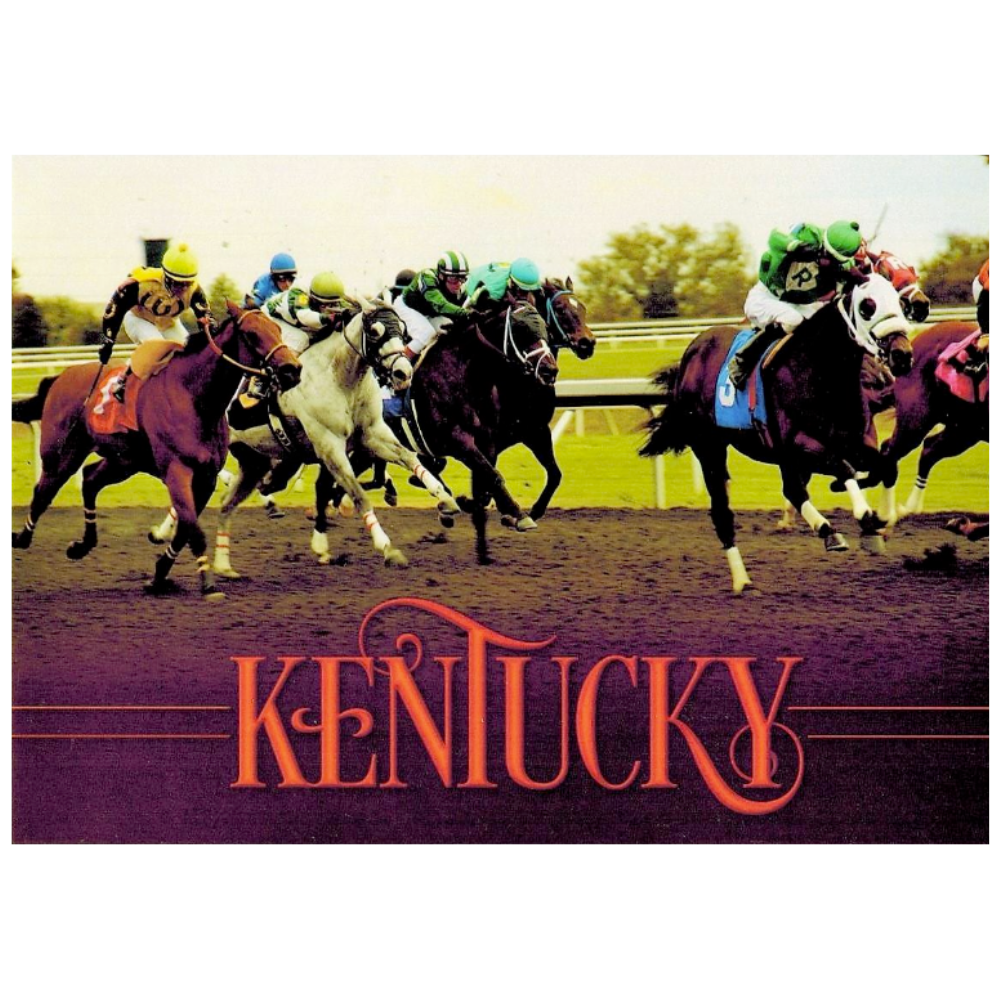 Kentucky Horse Racing Postcard