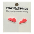 Kentucky 3D Pink Earrings