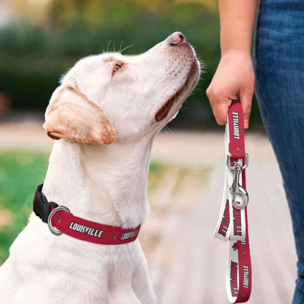 Louisville Cardinals Pet Collar