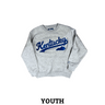 Kentucky State Arms Reach Youth Crewneck
