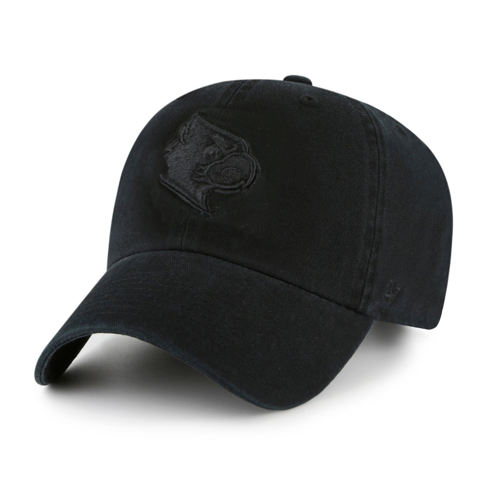 Cardinals Bird Logo Tonal Hat