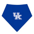 UK Solid Bandana Bib