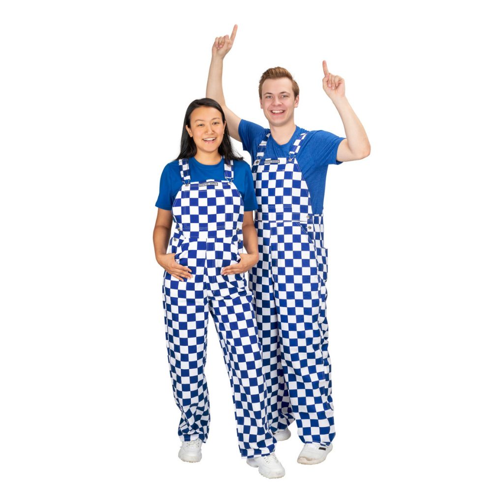 blue checkered overall dress Erina Blue Gingham Tiered Dress