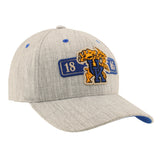 UK Wildcats Mascot Chaperone Hat