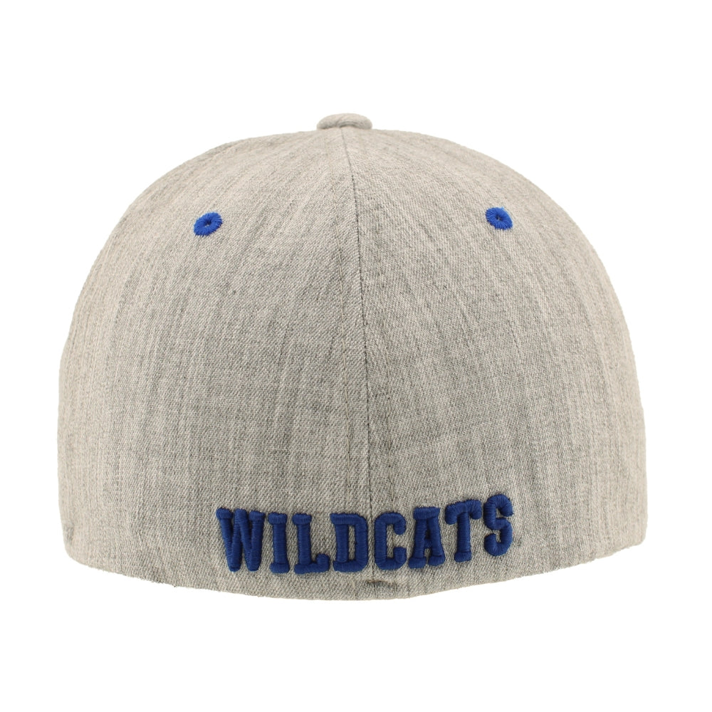 UK Wildcats Mascot Chaperone Hat