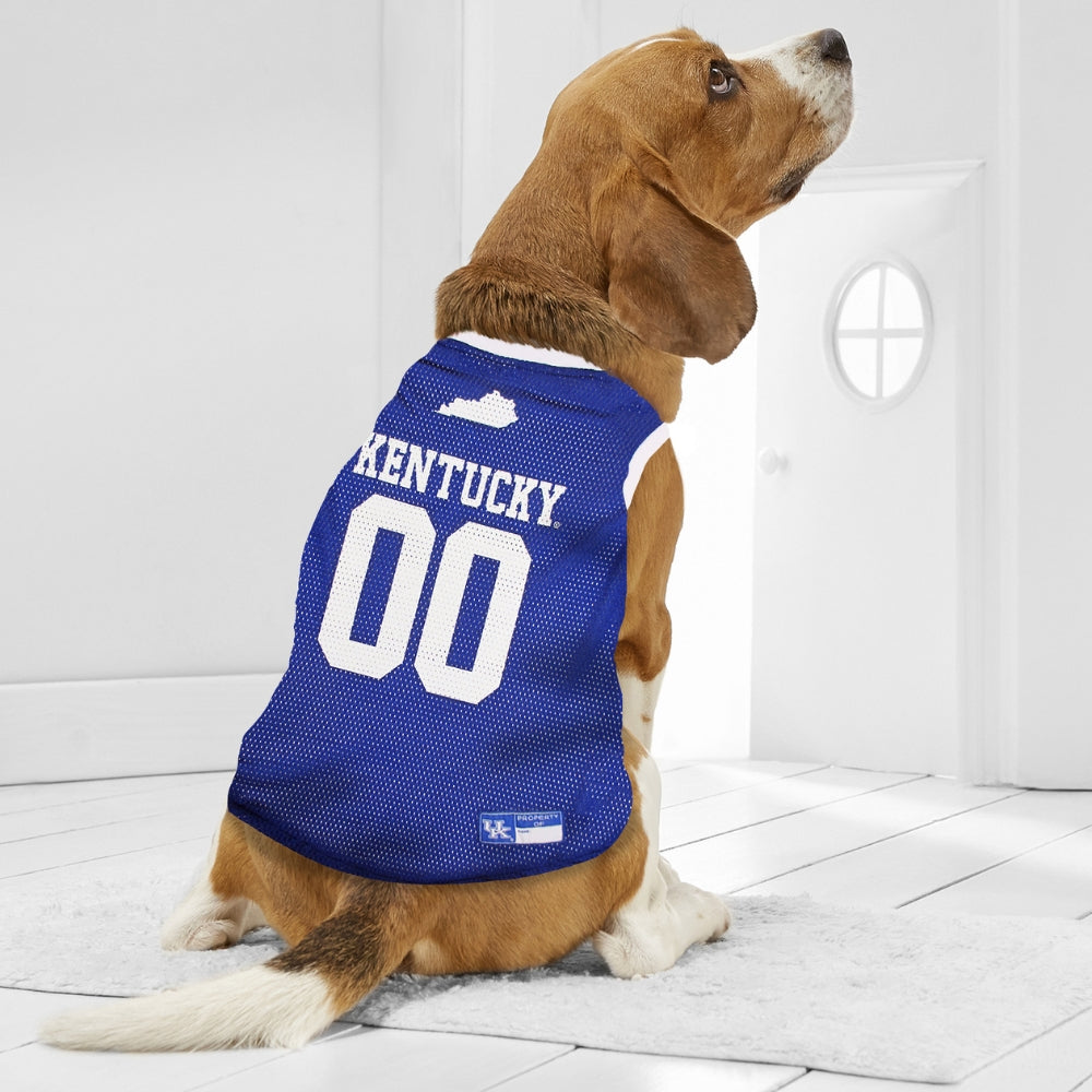 University of Kentucky Mesh Basketball Pet Jersey