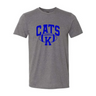 Camiseta desgastada de fútbol CATS K - 1-103269