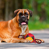 Louisville Cardinal Double Rope Tug Toy